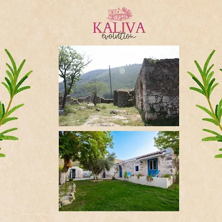 Kaliva 1 Dag Manzarali Tas Ev 费特希耶
